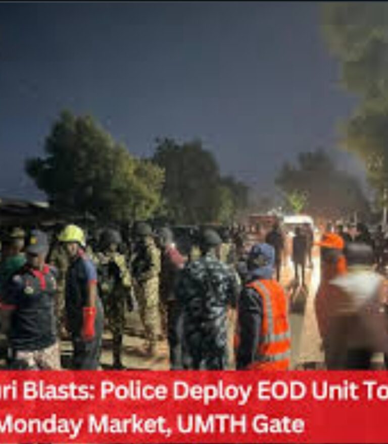 Maiduguri Blasts: 23 Dead, 108 Injured as Police Confirm Suicide Attack