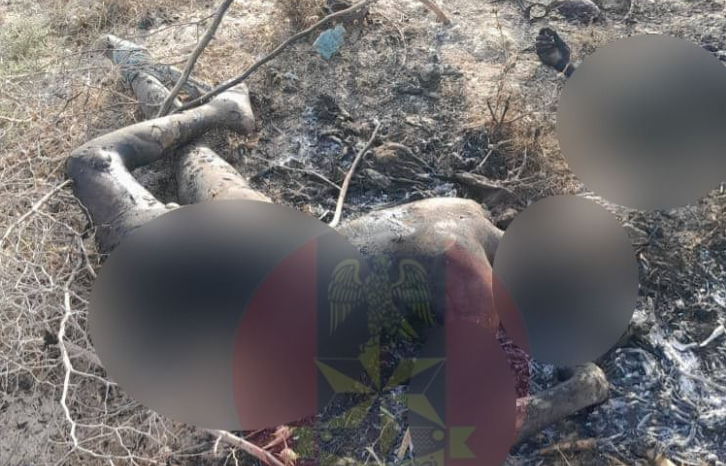 Troops Repel ISWAP Assault, Kill Over 20 Fighters in Yobe☆